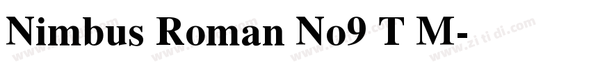 Nimbus Roman No9 T M字体转换